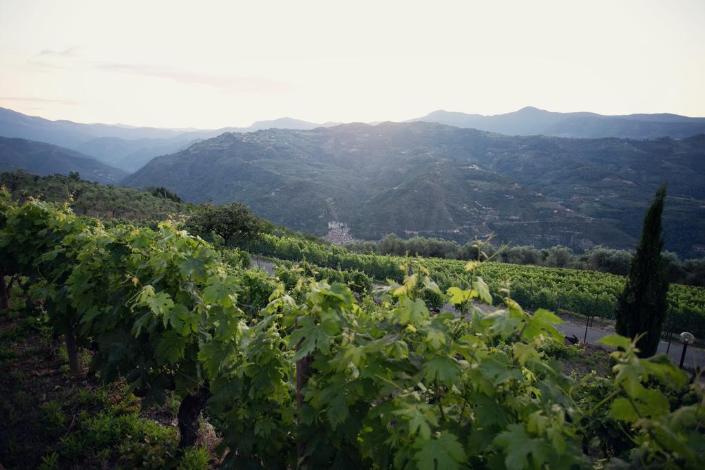 Terre Bianche Appartamenti Dolceacqua Dış mekan fotoğraf